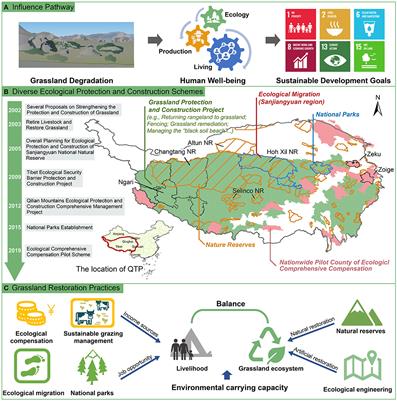 Opinionated Views on Grassland Restoration Programs on the Qinghai-Tibetan Plateau